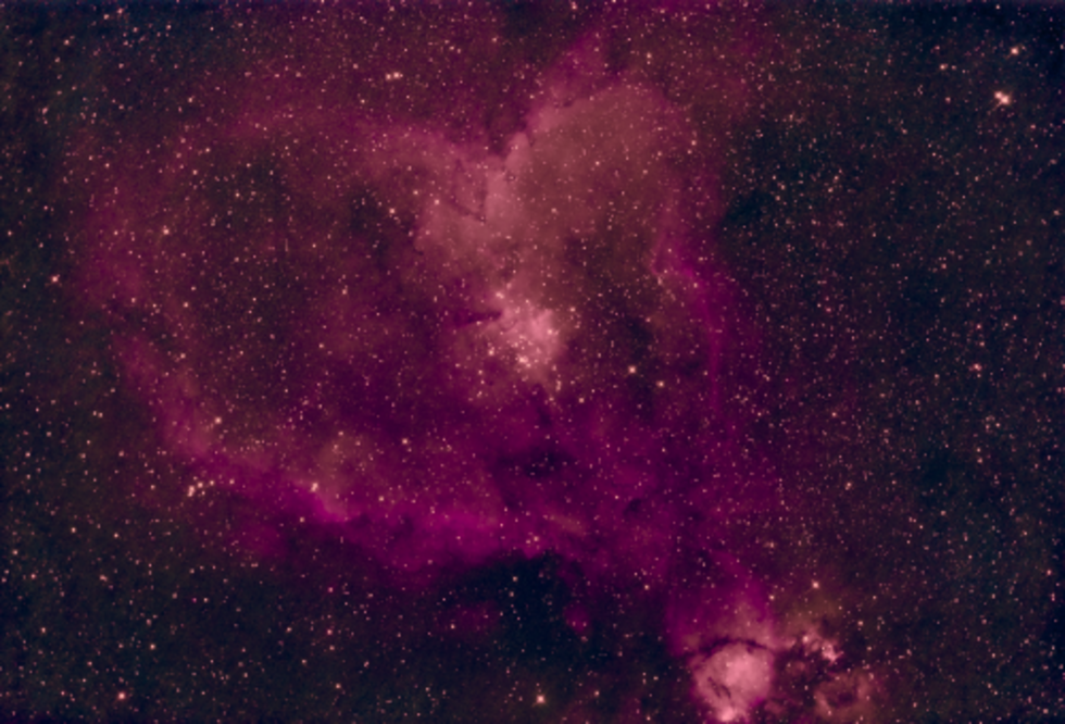Astrofotografie eines Nebels mit pinken und violetten Farbtönen, umgeben von vielen Sternen