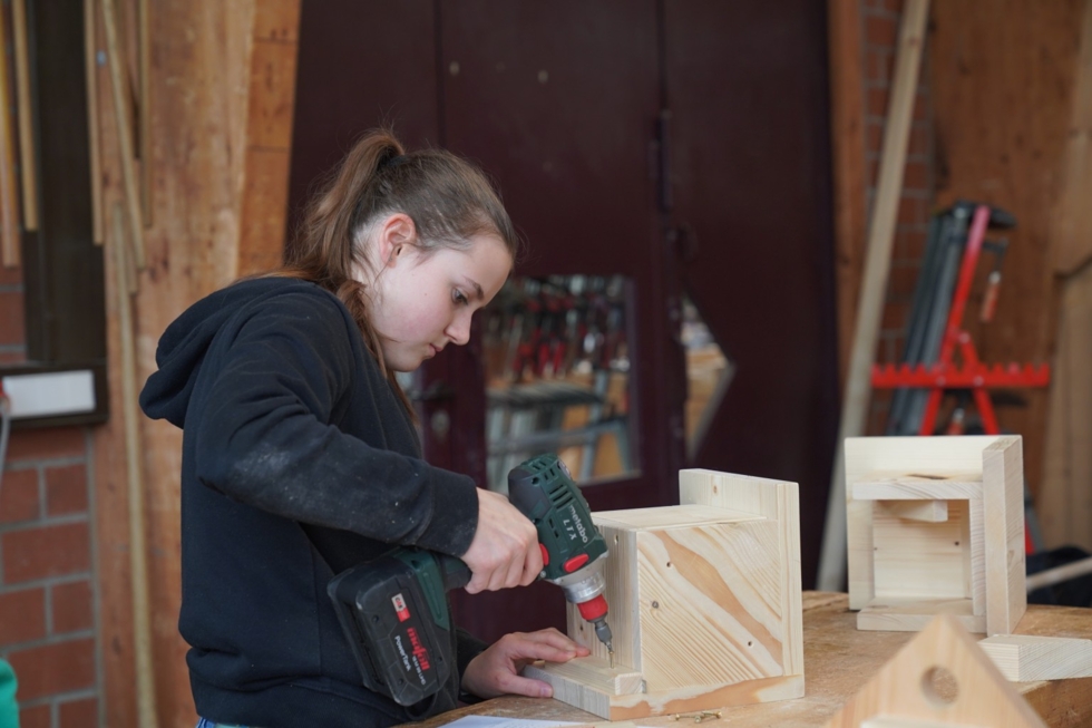 Girls'Day-Teilnehmerin beim Bau eines Nistkastens
