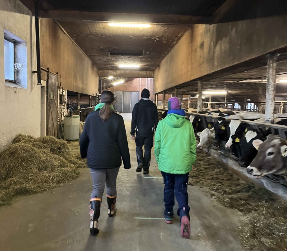 Girls'Day Teilnehmende im Kuhstall