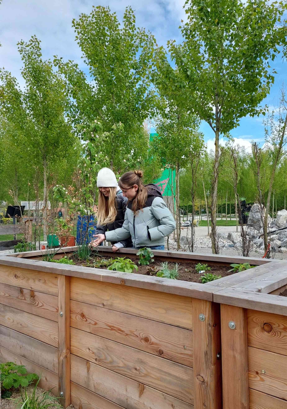Girls'Day-Teilnehmerinnen beim Bepflanzen eines Beetes