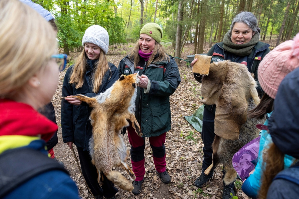 Försterinnen präsentieren verschiedene Tierfelle